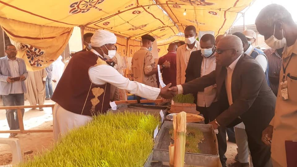 Participation of one of the beneficiaries of the hydroponic project in the agricultural exhibition in Wadi Atba