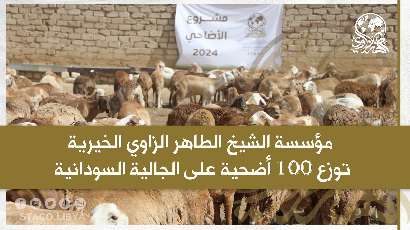 The Sheikh Tahir Al-Zzawi charity organization distributes 100 sacrifices to the Sudanese community