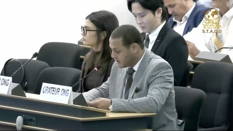 Speech of the Chairman of the Board at the United Nations